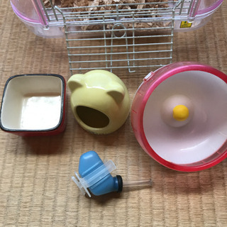 ハムスター　飼育セットの画像