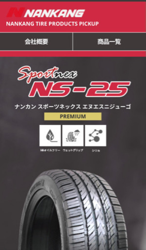 新作ナンカンNS25 バリ山 225-35-19 2本
