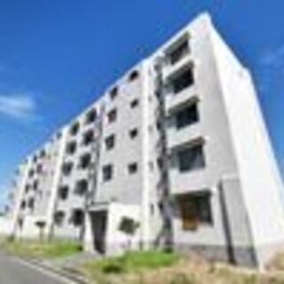 💥入居費用０円💥　賃料最大３ヶ月間無料キャンペーン実施中♪♪♪　...
