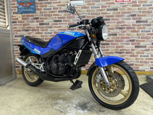 【希少絶版旧車2st！低走行ゴロワーズ】 ヤマハ RZ250R 29L  絶好調美車 【多数画像動画有】  検）RZ 4L3 3HM 350 NSR TZR RGV Γ ガンマ 2スト