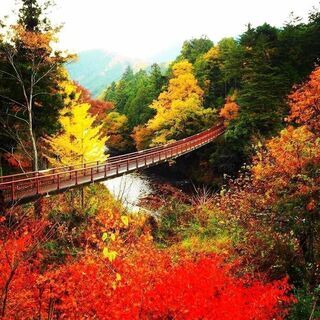 🚙都心より送迎も検討🍂紅葉最盛期の渓谷でﾊﾞｰﾍﾞｷｭｰ🍖＆フィ...
