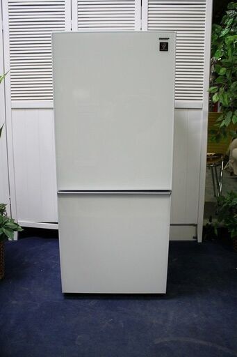 R2216) SHARP 中古 シャープ　2ドア冷凍冷蔵庫　137L　ガラストップ　SJ-GD14C-W 2017年製! 冷蔵庫 店頭取引大歓迎♪