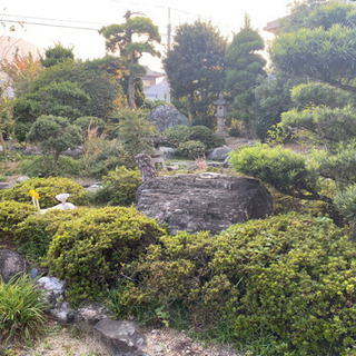 庭石　2