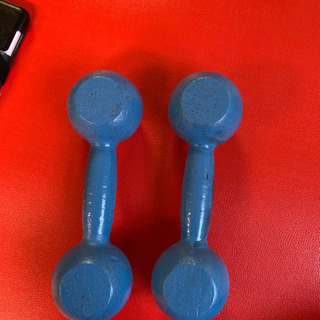 鉄アレー　2kg２個セット