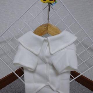ペットの洋服 ⑪の画像