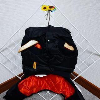 ペットの洋服 ⑫の画像