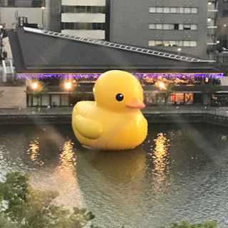 パチンコ一緒に行ってくれる人募集！