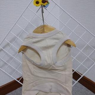 ペットの洋服 ⑮の画像