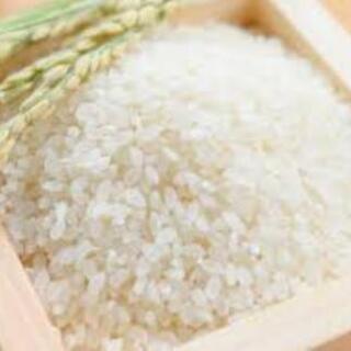 🍚新米　つや姫30㌔🍚1袋