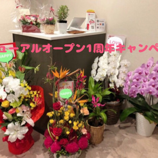 アイラッシュ&エステティック　Beauty Salon RK〜リ...