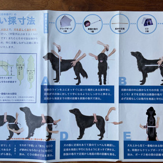 中型犬用車椅子、米国製、介護、下半身不随の画像