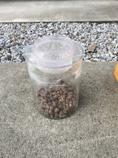 鉢植円柱水槽