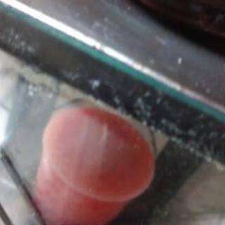 ブリキのランタン調キャンドルホルダーの画像