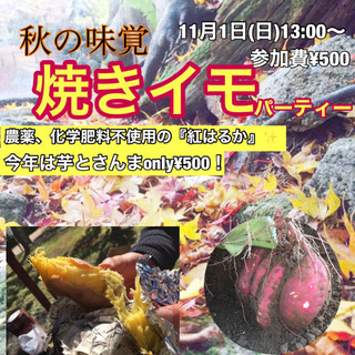 焼きイモします❣️