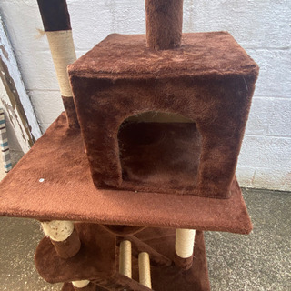 猫タワーの画像