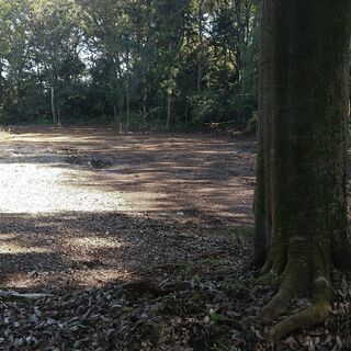 キャンプ場、資材置場に最適な639坪の土地　閑静な山林 - 常総市