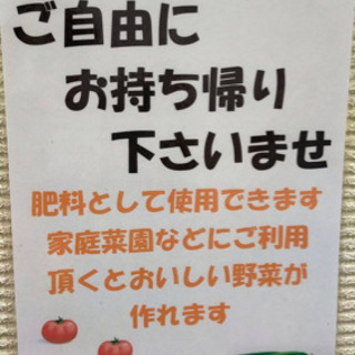 ヒノキの酵素おがくず差し上げます。の画像