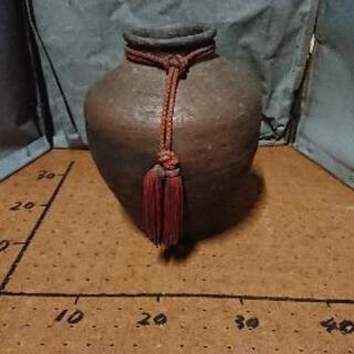 坪2の画像