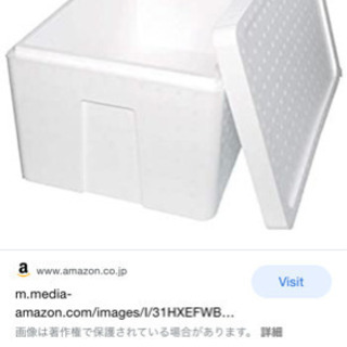 発泡スチロールください！