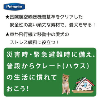 スカイケンネル M バリケンネル の画像