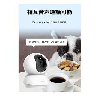 TP-Link ネットワークWi-Fiカメラの画像