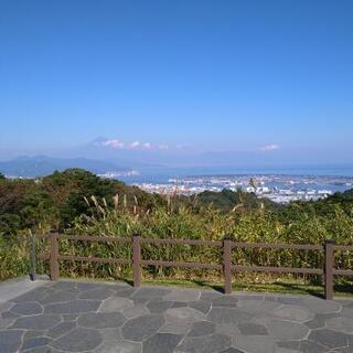 今日、日本平に歩いて登ります。