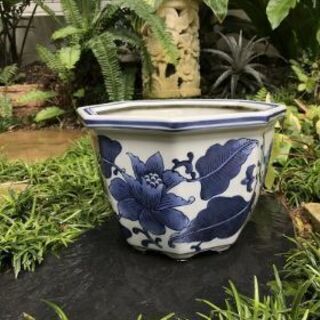 陶器大鉢１　睡蓮鉢２　陶器中鉢１