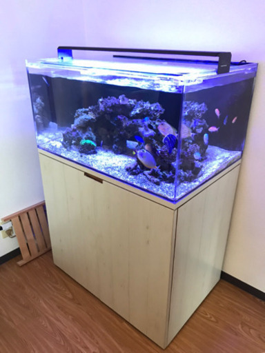 値下げしました　ボルクスジャパン　グラッシーウィング90マリン
