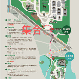 ●女性１人、募集してます！●一旦、締切らせて頂きます。１２月６日(日)13:30〜15:30　井の頭公園動物園散策イベント開催します。 - 武蔵野市