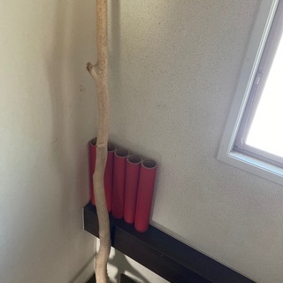 流木　3m 無料　決定致しました。の画像