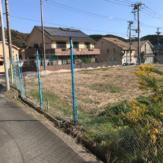 1000坪 内浦湾より1キロチョイ