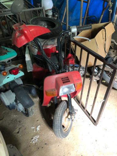 初期スカッシュ　6V タイヤ新品　レストアベース