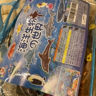 海洋生物フィギュア 12点セットの画像
