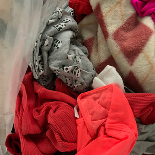 アディダススポーツパンツと他女性用アパレルの画像