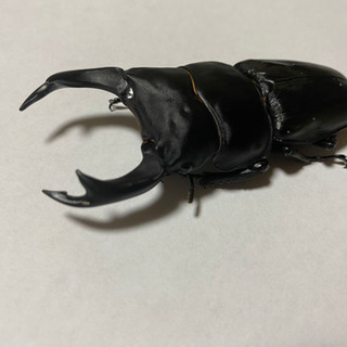 未使用カーペンターγ45-60セット