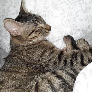 福岡県内の釣りスポット教えてください！