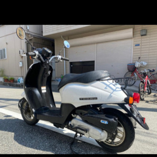 原付　ホンダトゥデイ！　美品