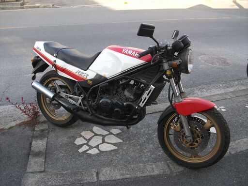 ヤマハRZR２５０