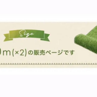 リアル人工芝の画像