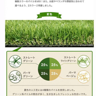 リアル人工芝の画像