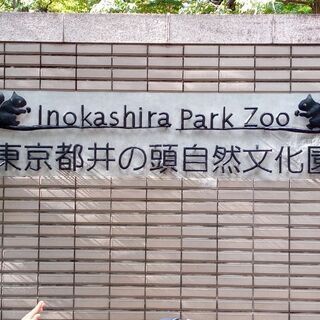 ●女性１人、募集してます！●一旦、締切らせて頂きます。１２月６日...