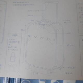 ハローキティキャリーバックの画像