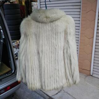 ＳＡＧＡ  ＦＯＸ   １３号の画像