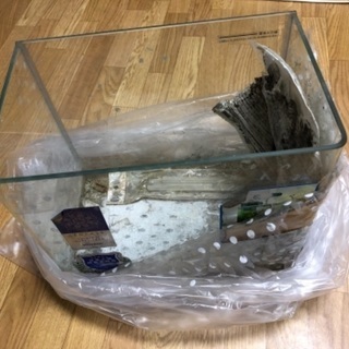 ガラス製水槽