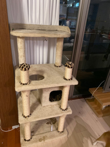 キャットタワー