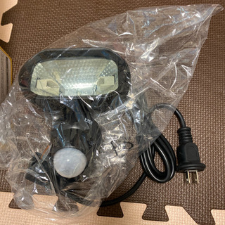 ハロゲンセンサーライトの画像