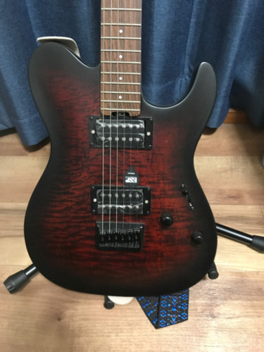 エレキギター、スタンド、ギターケース