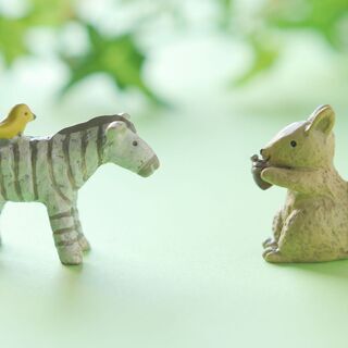 １１/１９(木) 　ストレスに対する正しい理解とつき合い方を身に...