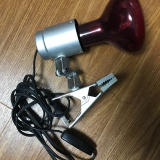 爬虫類保温用赤外線ランプ