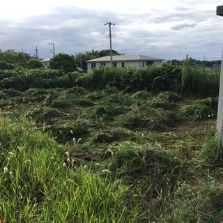 遊休地、耕作放棄地貸して下さい